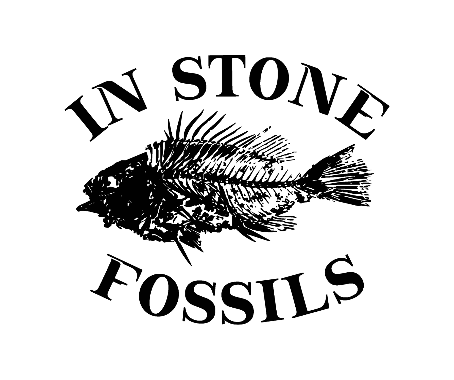 in stone fossils